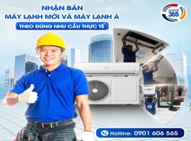 Máy Lạnh 365: Tư Vấn Lắp Đặt Máy Lạnh Đúng Nhu Cầu – Tiết Kiệm Chi Phí Tối Đa