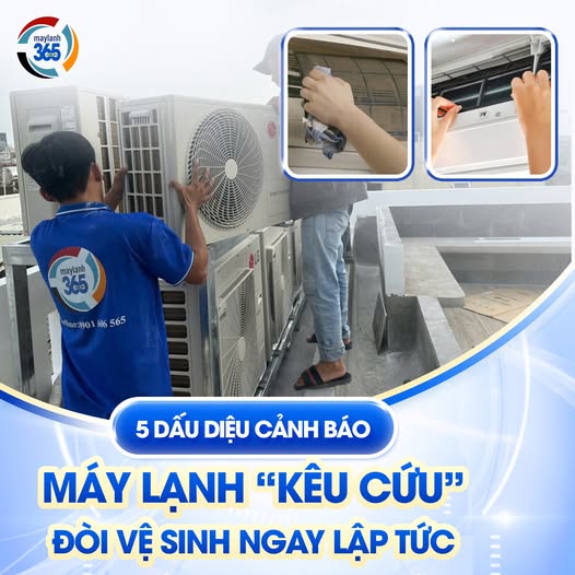 canh-bao-5-dau-hieu-may-lanh-keu-cuu-doi-ve-sinh-ngay-lap-tuc
